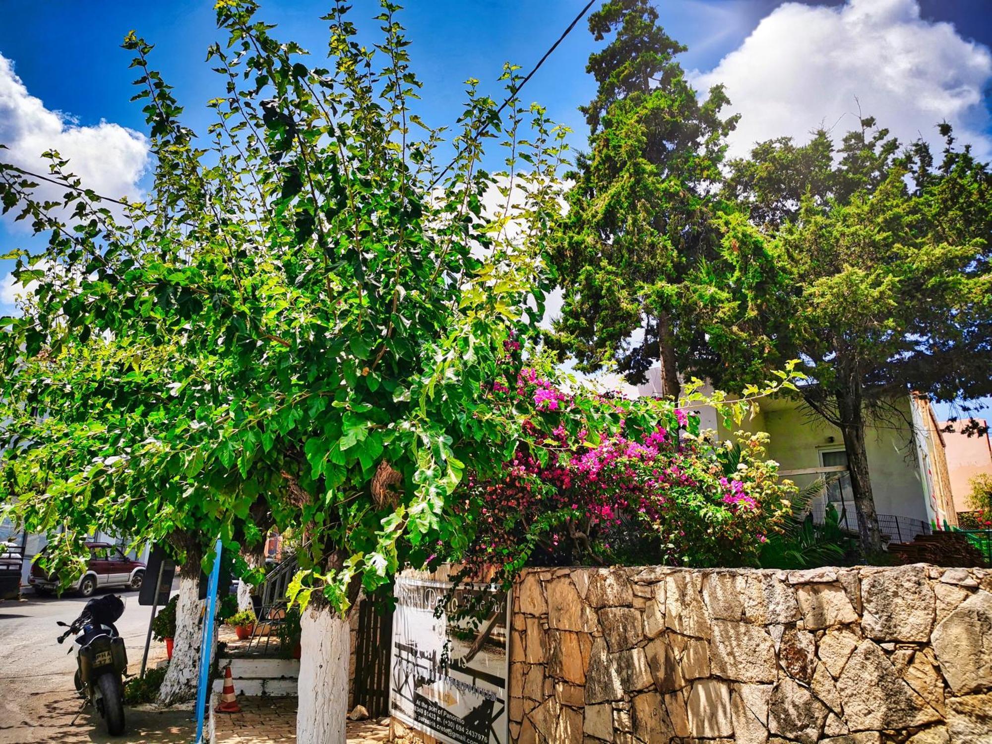 Phaos Residence, Your Stylish Crete Retreat Pánormos Екстериор снимка